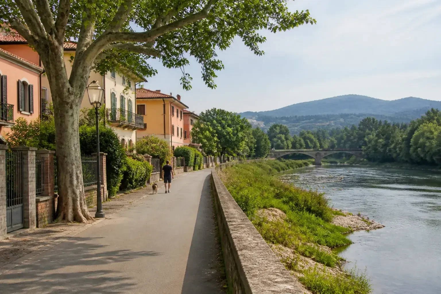 Quartiere tranquillo di Casalecchio di Reno con case basse e alberi.
