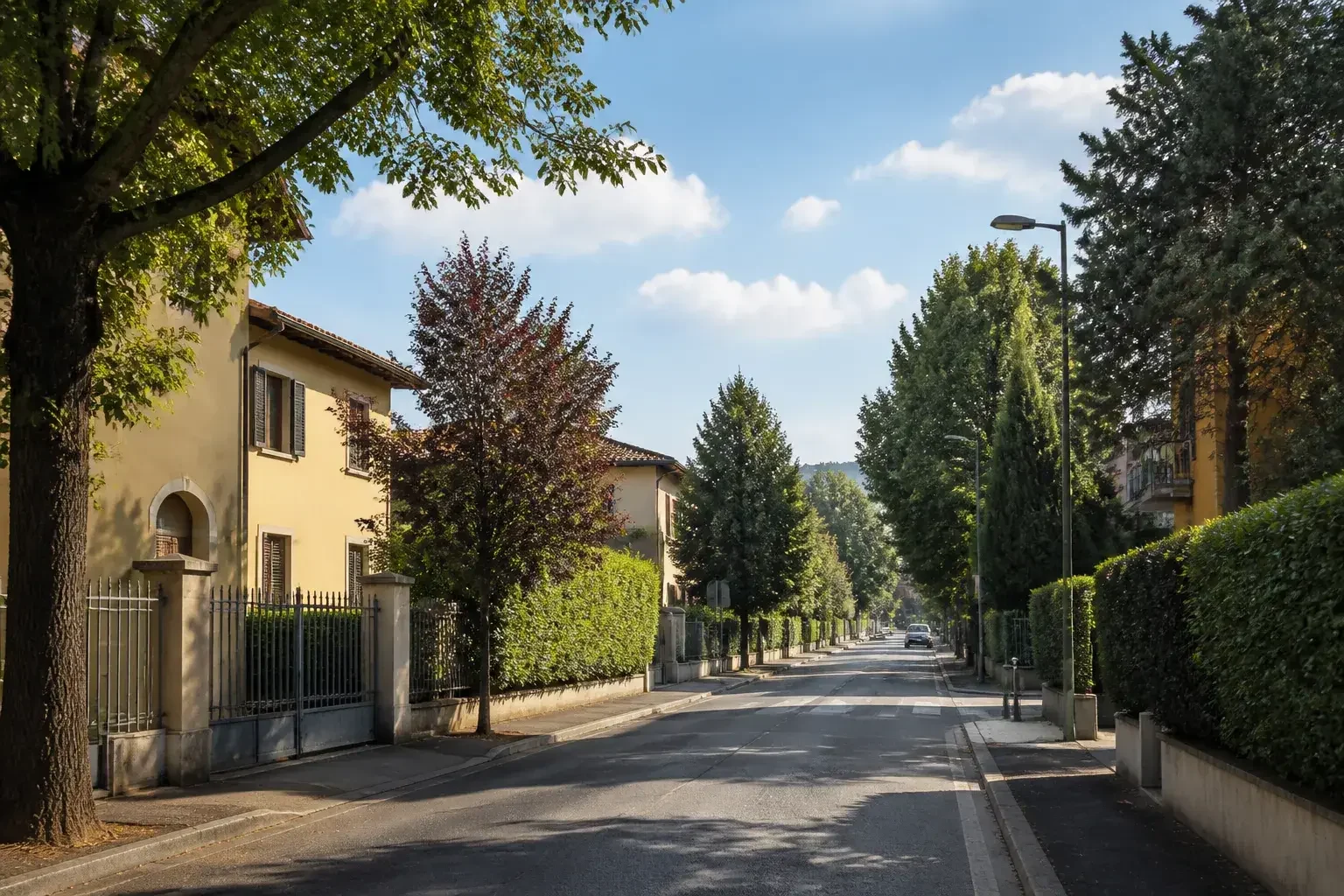 Zona residenziale di San Lazzaro di Savena con case ordinate e alberi.